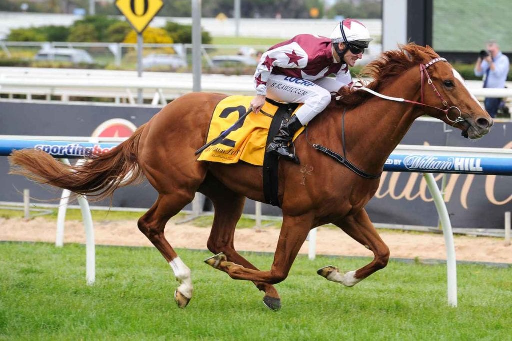 Coral Cup Betting Stratum 1024x682 - Coral Cup Betting