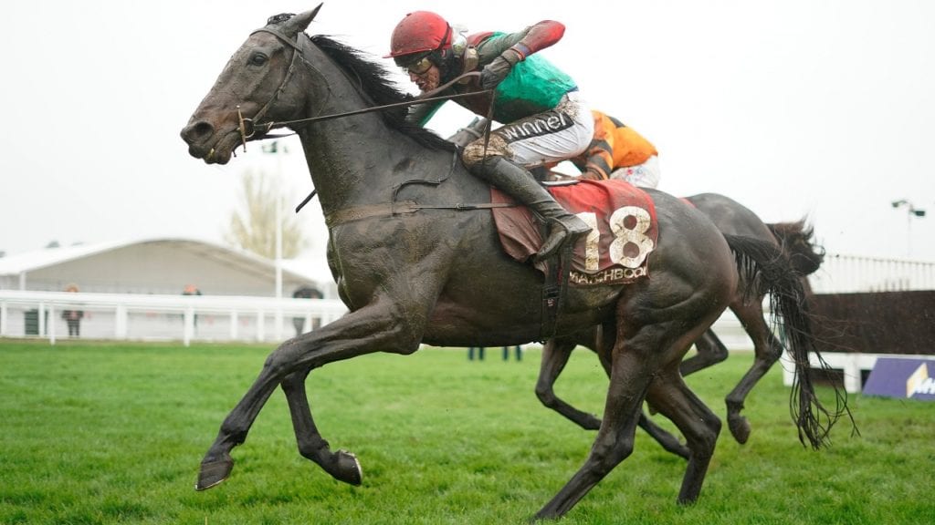 Ultima Handicap Chase Betting The Conditional 1024x576 - Ultima Handicap Chase Betting