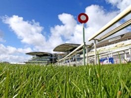 Aintree Racecards Horse Racing Tips