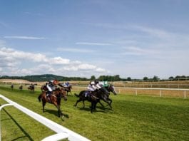 Chepstow Racecards Horse Racing Tips
