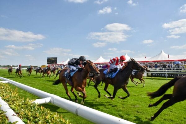 Today’s horse racing tips: race predictions, best bets and preview for Friday at Doncaster day two St Leger meeting and Salisbury