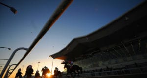 Dundalk Racecards And Tips
