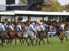 Huntingdon Racecards Horse Racing Tips