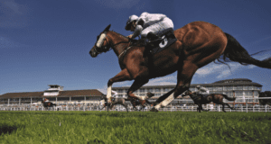 Lingfield Racecards Horse Racing Tips