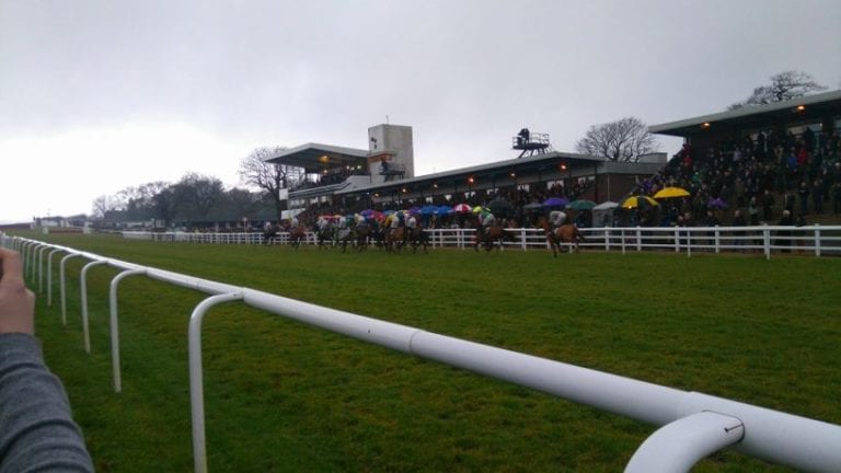 Plumpton Racecards