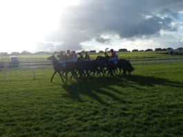 Tramore Racecards