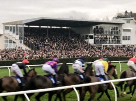 Wincanton Racecards