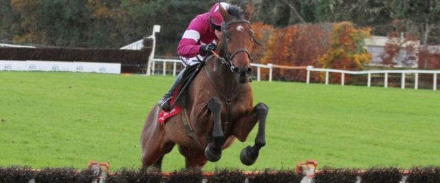 Horse Racing Tips: Alpha Des Obeaux to win the Bobbyjo Chase at Fairyhouse alpha des obeaux scaled - Horse Racing Tips: Alpha Des Obeaux to win the Bobbyjo Chase at Fairyhouse