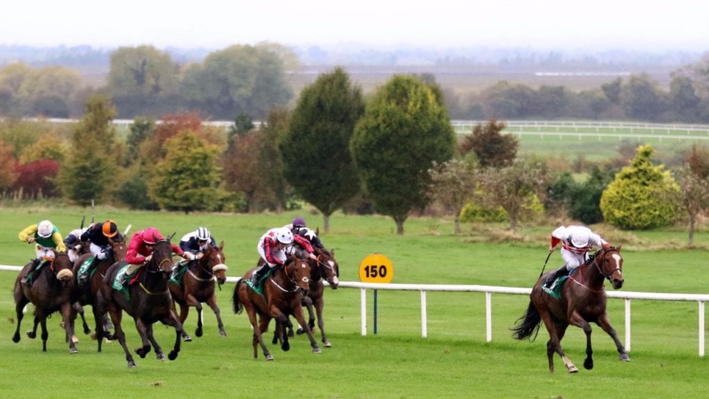 Horse Racing Selections: Lord Erskine to win after 579 days off the track lord erskine 1024x576 - Horse Racing Selections: Lord Erskine to win after 579 days off the track