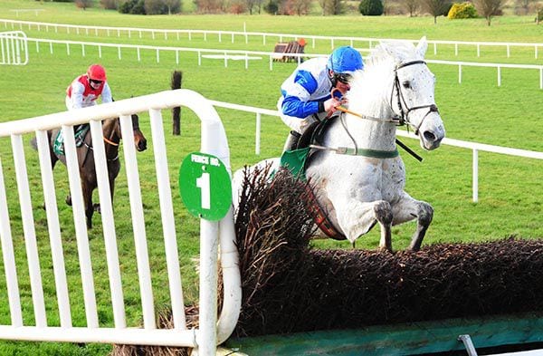 Horse Racing Tips: Mick The Jiver to win on his return to hurdles mick the jiver - Horse Racing Tips: Mick The Jiver to win on his return to hurdles