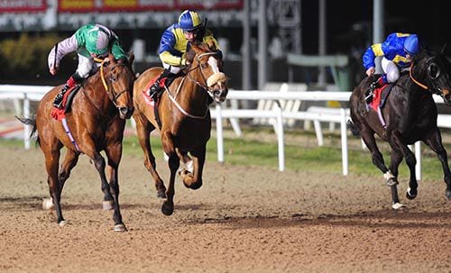 Horse Racing Selections: Sharjah to win for the tenth time at Dundalk sharjah dundalk - Horse Racing Selections: Sharjah to win for the tenth time at Dundalk