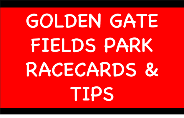 Horse Racing Selections: Florrie Webb to build on encouraging debut to win at Clonmel Golden Gate Fields - Horse Racing Selections: Florrie Webb to build on encouraging debut to win at Clonmel