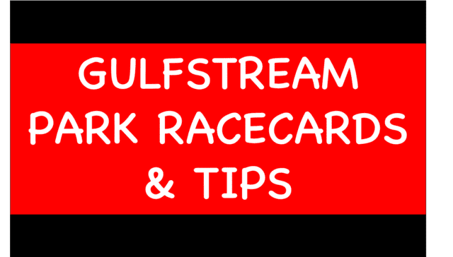 Horse Racing Selections: Florrie Webb to build on encouraging debut to win at Clonmel Gulfstream Park - Horse Racing Selections: Florrie Webb to build on encouraging debut to win at Clonmel