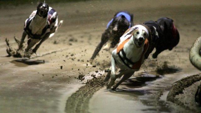 Perry Barr