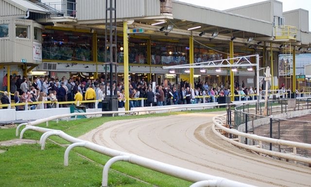 Sheffield Racecards Greyhound Racing Tips | BettingTips4you