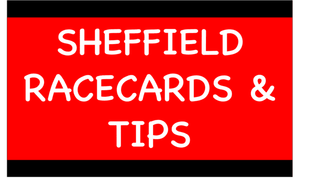 Greyhounds Betting Sheffield - Greyhounds Betting