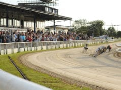 Swindon Racecards Greyhound