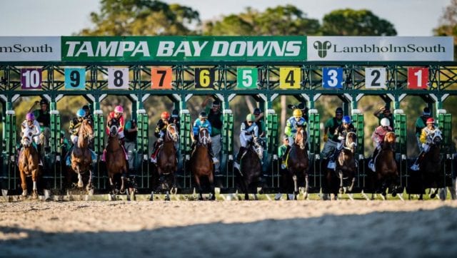 Tampa Bay Downs (USA) Racecards Horse Racing Tips