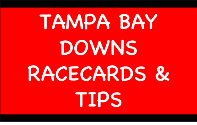 Horse Racing Selections: Florrie Webb to build on encouraging debut to win at Clonmel Tampa Bay Downs - Horse Racing Selections: Florrie Webb to build on encouraging debut to win at Clonmel