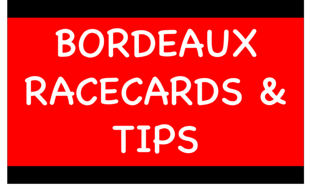 Horse Racing Selections: Ramses De Teille to continue his good form over hurdles Bordeaux - Horse Racing Selections: Ramses De Teille to continue his good form over hurdles