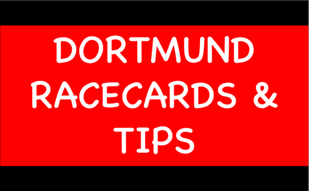 Horse Racing Selections: Ramses De Teille to continue his good form over hurdles Dortmund - Horse Racing Selections: Ramses De Teille to continue his good form over hurdles