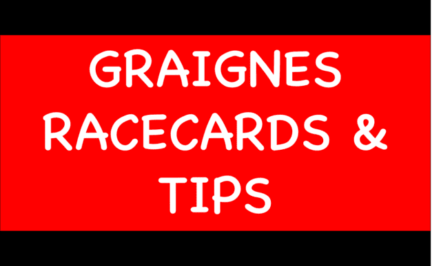 Horse Racing Selections: Ramses De Teille to continue his good form over hurdles Graignes - Horse Racing Selections: Ramses De Teille to continue his good form over hurdles
