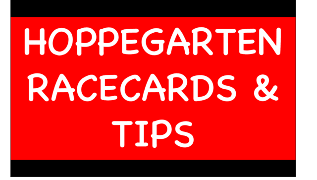 Horse Racing Selections: Red Invader to bounce back in re-fitted cheekpieces at Southwell Hoppegarten - Horse Racing Selections: Red Invader to bounce back in re-fitted cheekpieces at Southwell