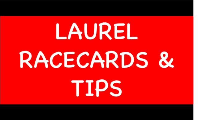 Horse Racing Selections: Red Invader to bounce back in re-fitted cheekpieces at Southwell Laurel - Horse Racing Selections: Red Invader to bounce back in re-fitted cheekpieces at Southwell