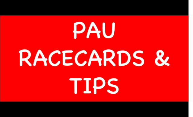 Horse Racing Tips: Now Where Or When to get off the mark at the second attempt at Down Royal Pau - Horse Racing Tips: Now Where Or When to get off the mark at the second attempt at Down Royal