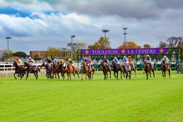 Toulouse Racecards Horse Racing Tips Bettingtips4you