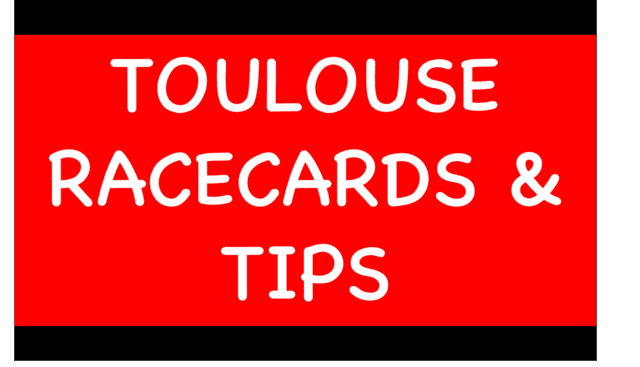 Horse Racing Selections: Red Invader to bounce back in re-fitted cheekpieces at Southwell Toulouse - Horse Racing Selections: Red Invader to bounce back in re-fitted cheekpieces at Southwell