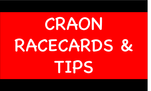 Horse Racing Selections: Roundabout Magic to win again over this C&D at Lingfield Craon - Horse Racing Selections: Roundabout Magic to win again over this C&D at Lingfield