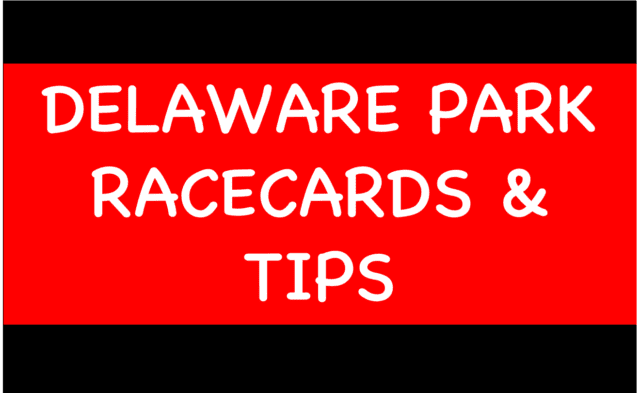 Horse Racing Selections: Liamba to complete a C&D hat-trick at Southwell Delaware - Horse Racing Selections: Liamba to complete a C&D hat-trick at Southwell