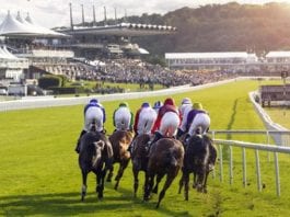 Goodwood Racecards Horse Racing Tips