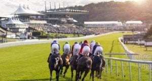 Goodwood Racecards Horse Racing Tips
