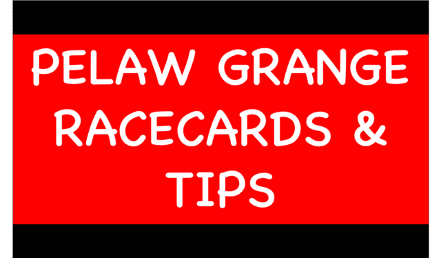 Greyhounds Betting Pelaw Grange - Greyhounds Betting