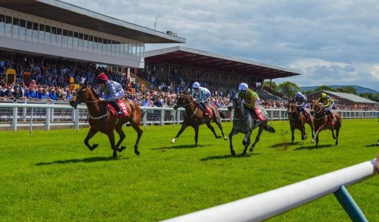 BettingTips4You.com | Free Football Betting Tips & Predictions Redcar Racecards Horse Racing Tips