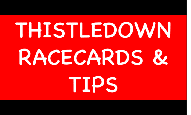 Horse Racing Selections: Liamba to complete a C&D hat-trick at Southwell Thistledown - Horse Racing Selections: Liamba to complete a C&D hat-trick at Southwell