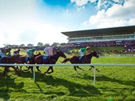 Tipperary Racecards Horse Racing Tips