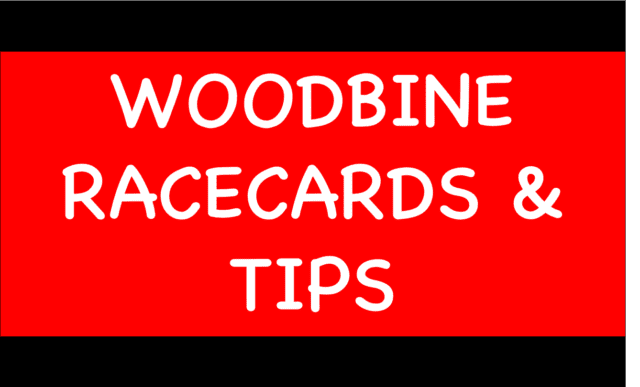 Horse Racing Selections: Liamba to complete a C&D hat-trick at Southwell Woodbine - Horse Racing Selections: Liamba to complete a C&D hat-trick at Southwell