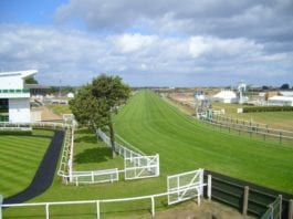 Yarmouth Racecards Horse Racing Tips