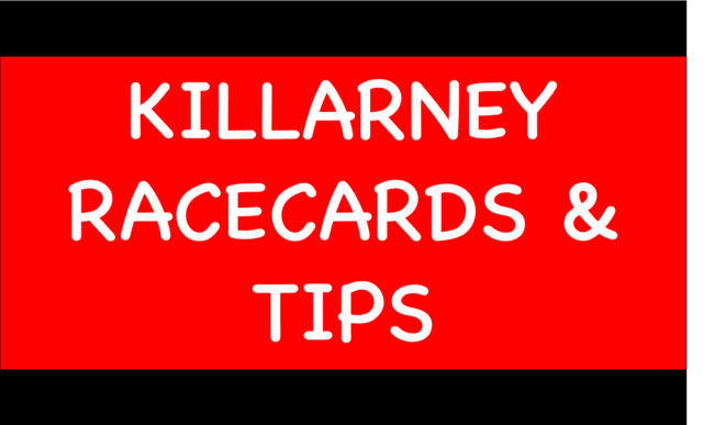 Horse Racing Selections: Liamba to complete a C&D hat-trick at Southwell Killarney - Horse Racing Selections: Liamba to complete a C&D hat-trick at Southwell