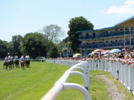 Newton Abbot Racecards Horse Racing Tips