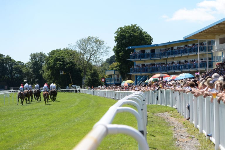 Newton Abbot Racecards Horse Racing Tips