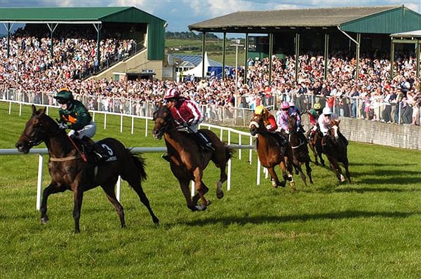 Tranmore Racecards Horse Racing Tips