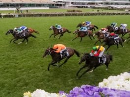 Flemington Racecards Horse Racing Tips