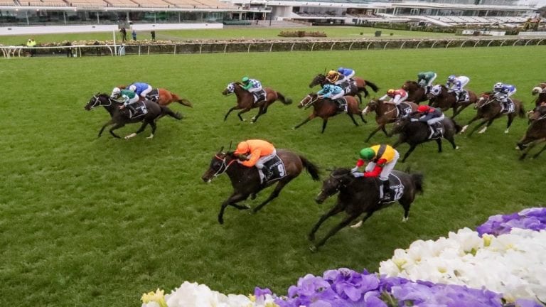 Flemington Racecards Horse Racing Tips
