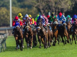 Horse Racing (Cp)