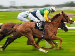Horse Racing (Cp)