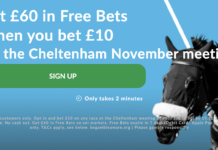 Cheltenham Offer BetVictor